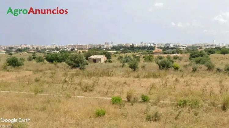 Venta  de Finca con almacén junto casco urbano en Castellón