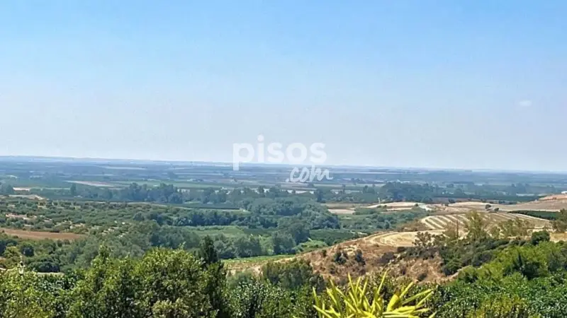 Chalet Rustico en Venta Cantillana con Piscina y 800 Olivos