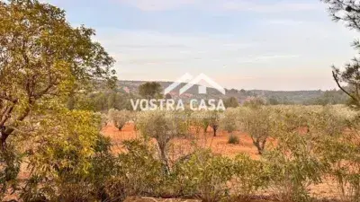 Finca rústica en alquiler en Yátova