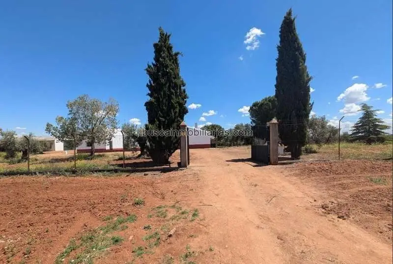 Finca Rustica 185 Hectareas Badajoz Olivar Viñedos