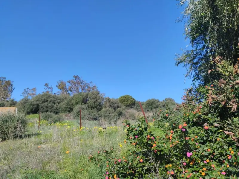 Venta Solar Urbano Benalup 3182m2 Viviendas Garaje