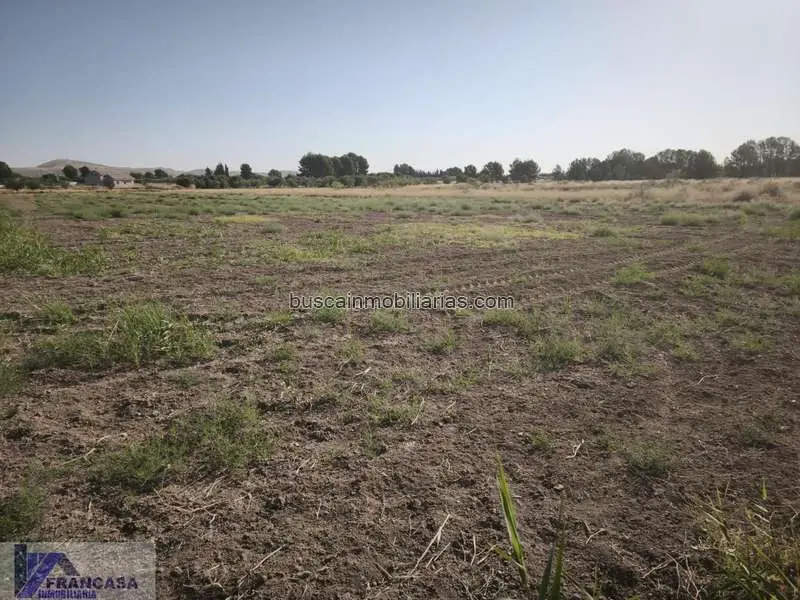 Finca Rustica en venta Hellin 21500m2
