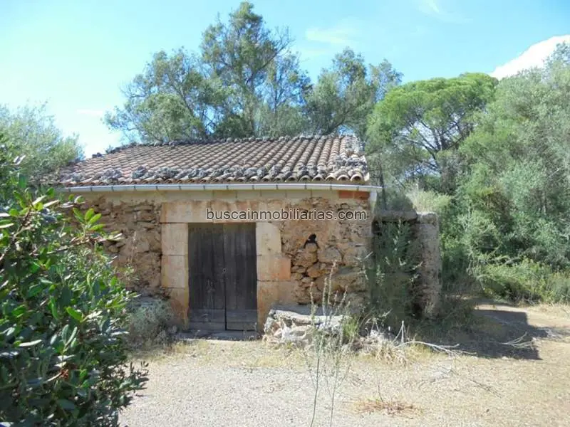 Parcela Rustica en Venta Sencelles Ideal Caza