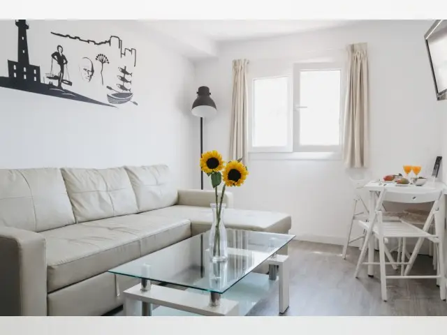 Apartamento 1 Dormitorio Malaga Alquiler Centro