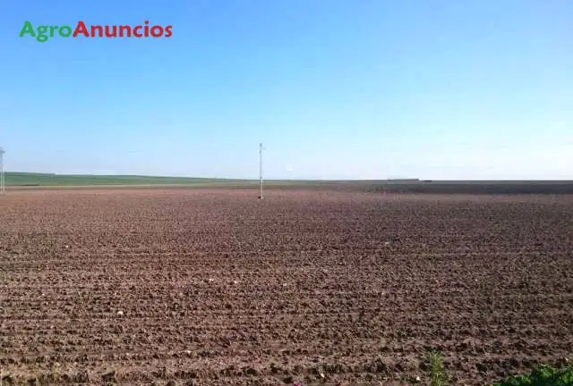 Compra  de Terreno de secano en Córdoba