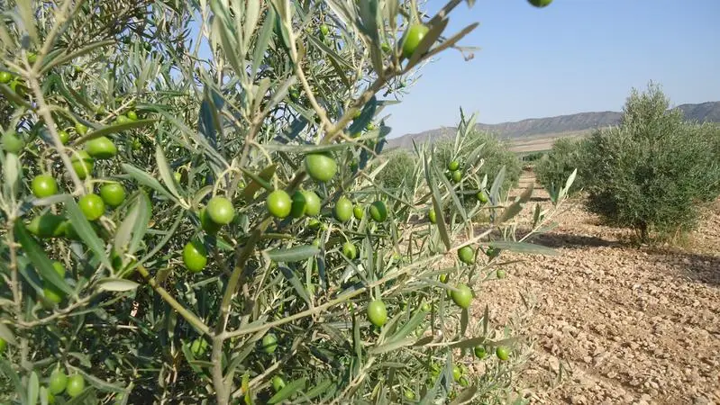 Terrenos en Venta Costa Blanca y Costa Calida