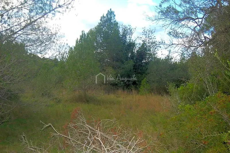 Finca Rustica en El Perello Tarragona 37272m2