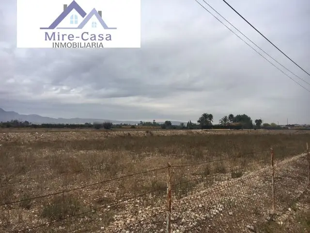 Venta Parcela Crevillent 10000m2 Vallada Luz Agua