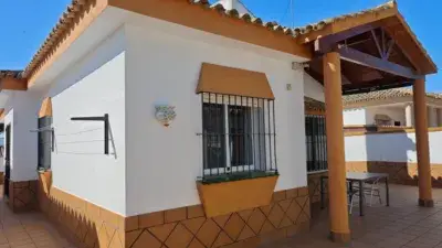 Chalet en venta Urbanizacion Dona Violeta cerca de playa La Barrosa