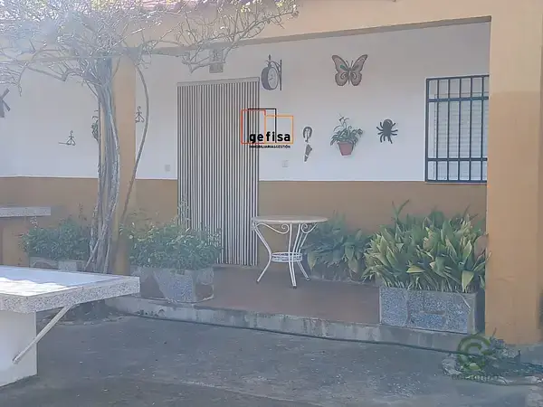 Chalet con Piscina y 180 Olivos en Venta