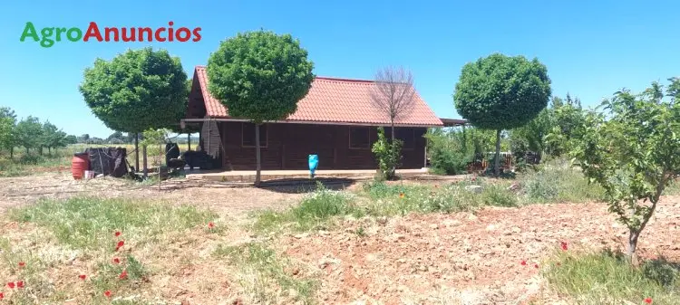 Venta  de Chalet con arboles frutales en Ciudad Real