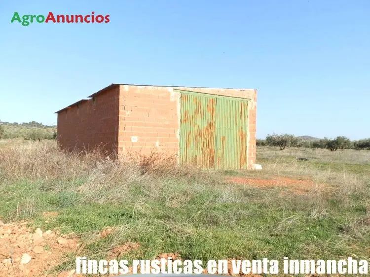 Venta  de Finca de regadío en Ciudad Real