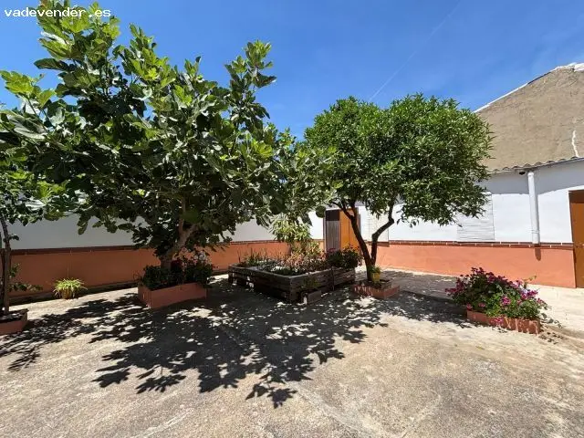 Casa en Charca Musia 400m2 3 habitaciones 2 baños Garaje Patio Nave