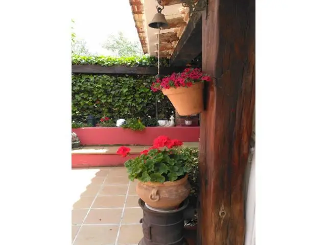 Cortijo con 2 Casas y Piscina - Alquiler Rural