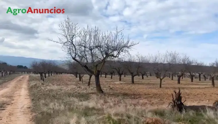 Venta  de Finca rústica de cultivos y monte en Valencia