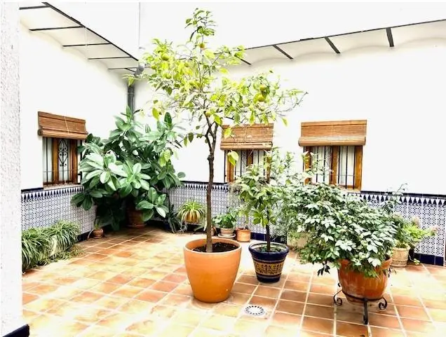 Venta Adosado 3 Habitaciones Centro Cordoba