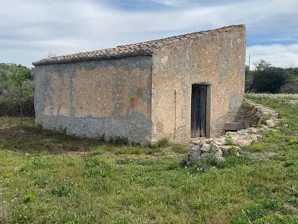 Finca Agricola 45 hectareas Renau Tarragona