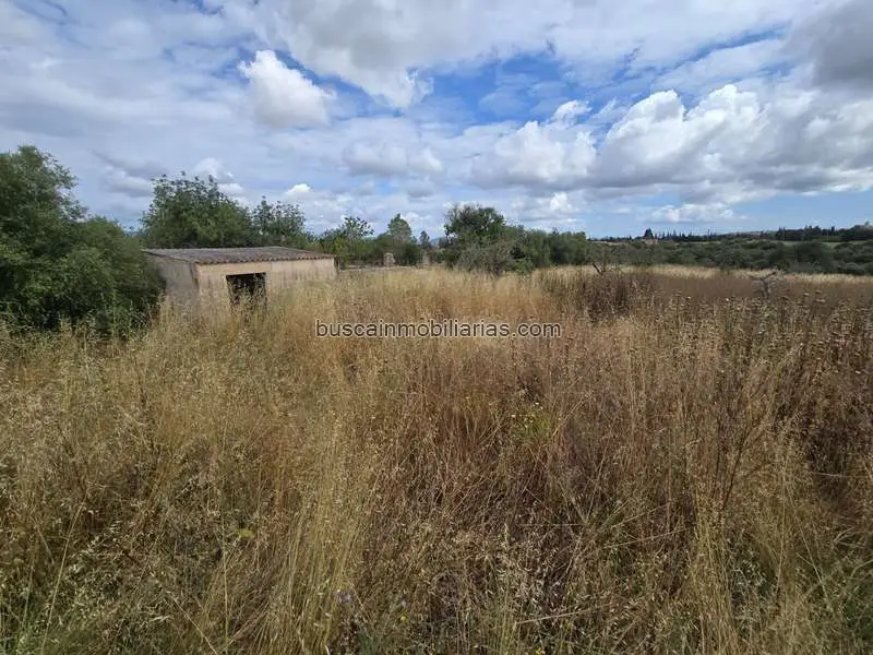 Parcela rústica en venta en Llubí