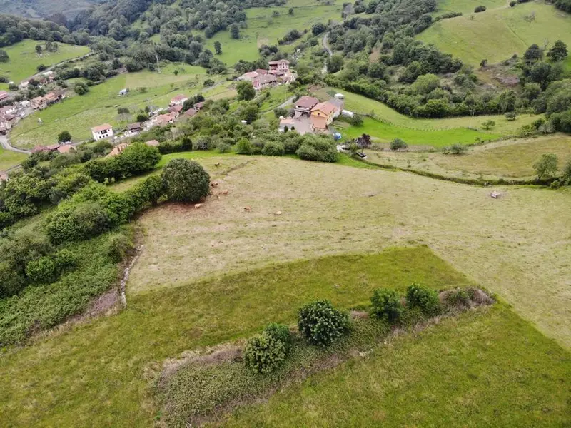 venta Terreno en Grado, Asturias (830552)- Globaliza