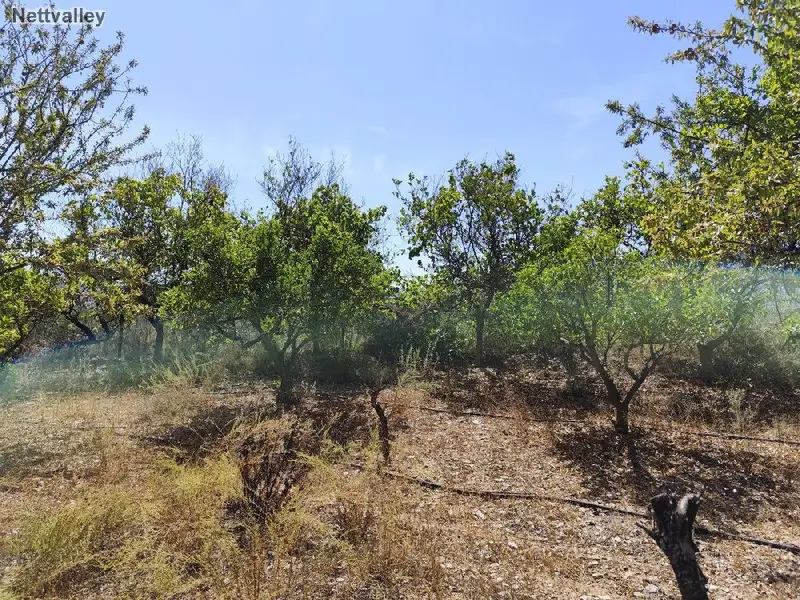 Venta Finca Agricola en Murchas Lecrin