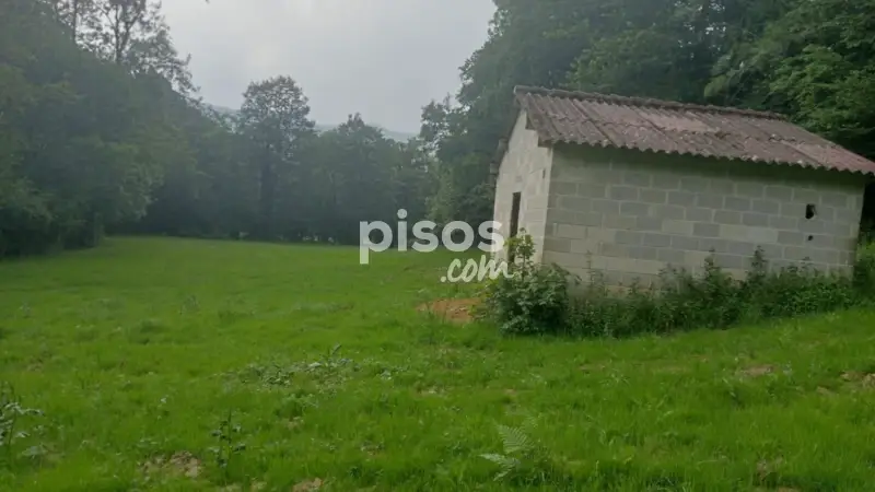 Finca Rustica en Venta en Piloña