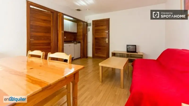 Apartamento 1 Dormitorio en Goya Madrid