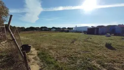Casa de Campo en Venta cerca de Punta Umbria 5000m2 3 Dorm 1 Baño