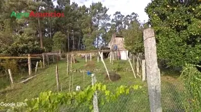 Venta  de Finca rústica con edificación a reformar en Pontevedra