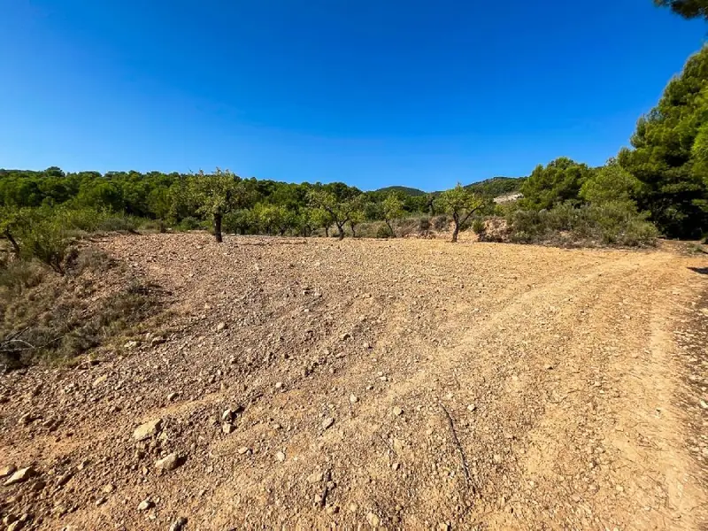 Venta Terreno Rustico Castalla 52809m2 Almendros Pinada