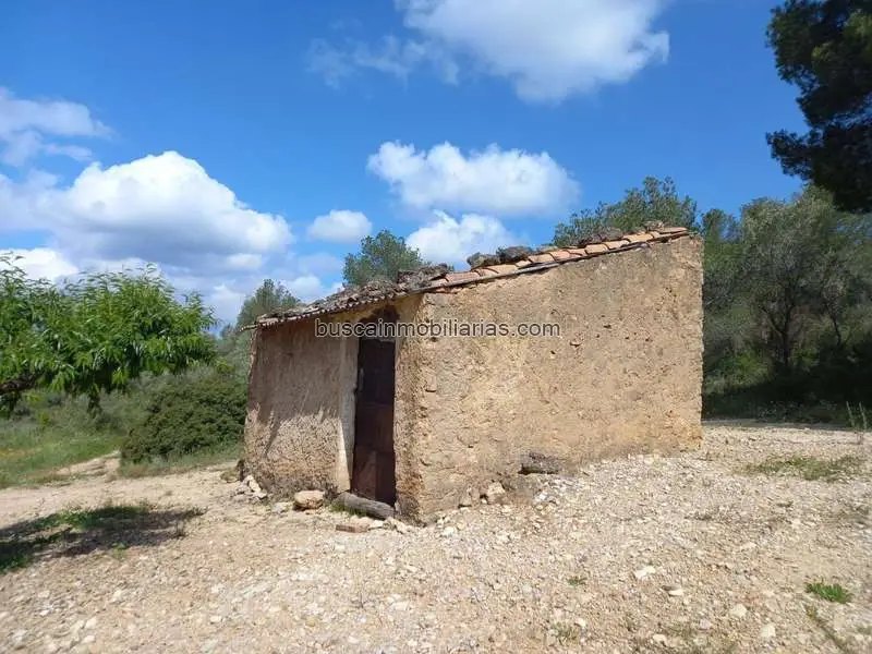 Parcela Rustica con Olivos en El Pinell de Brai