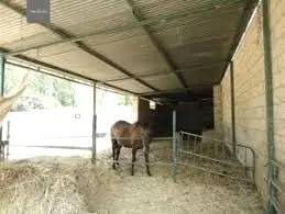 Alquiler  de Finca de recreo en Valencia