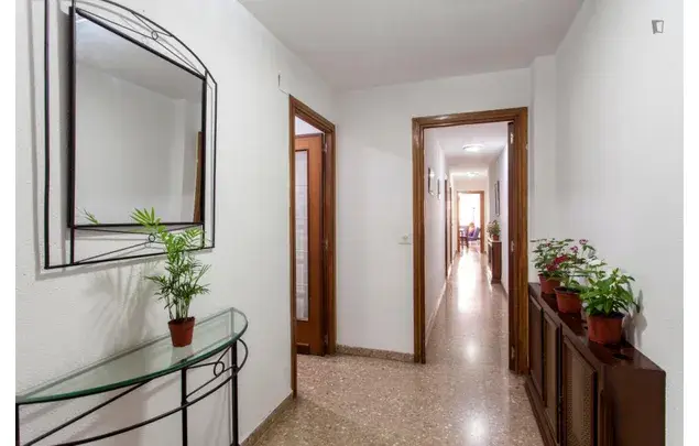 Alquiler Apartamento 5 Dormitorios Valencia Estudiantes Verano