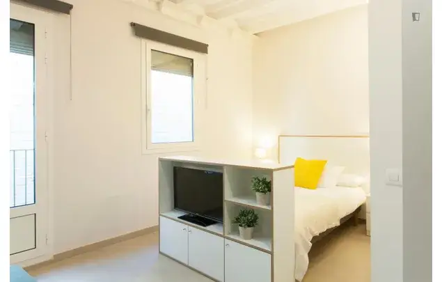 Alquiler Apartamento 1 Dormitorio Barcelona Estancia Temporal