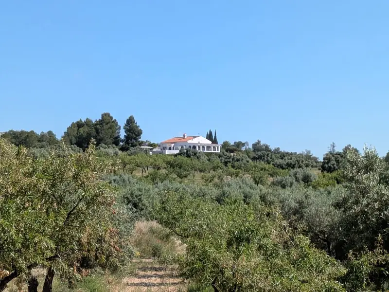 Finca Nirvana Flix Tarragona: Casa Rural con Olivos y Piscina