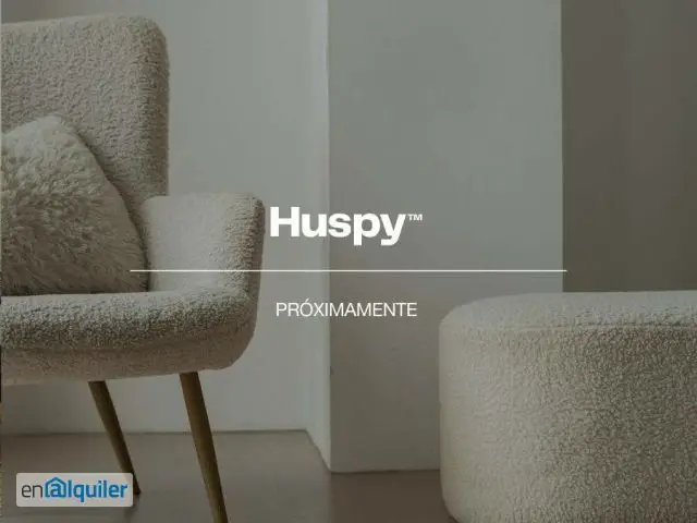 Alquiler Duplex 165m2 Amueblado La Seu Ciutat Vella Valencia