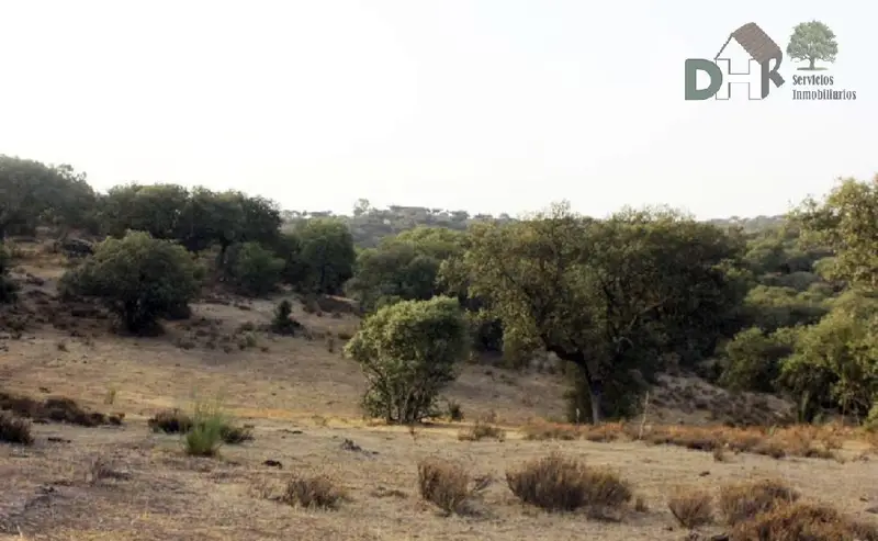 Venta Finca Rustica 210 Hectareas Ganaderia Caceres