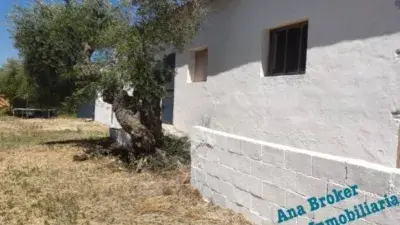 Alquiler Finca Rustica Ronda Olivos Naves