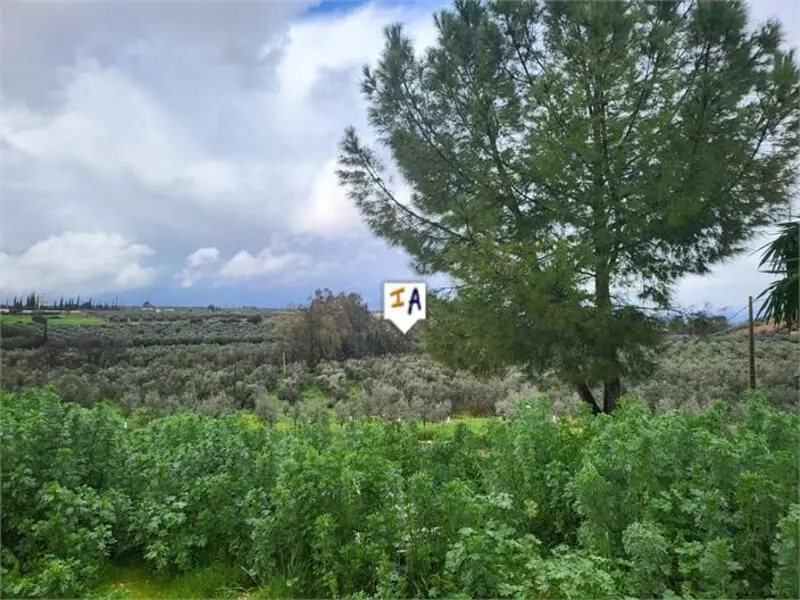 Casa Rural 3 Dormitorios Casariche Sevilla