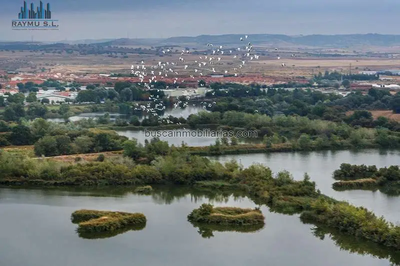 Edificio en Venta Velilla de San Antonio Ideal Inversores 6 Viviendas 7 Garajes