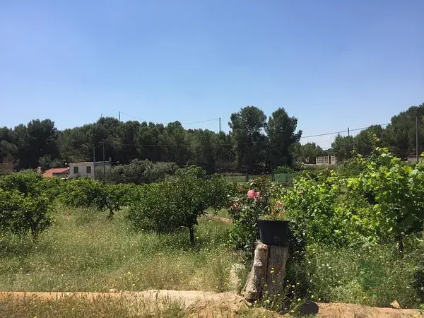 Parcela en venta El Esparragal 6149m2