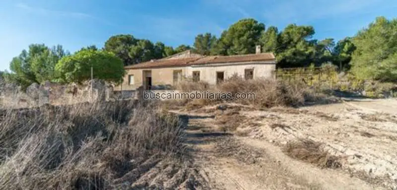Finca Rustica con Vivienda en Pilar de la Horadada