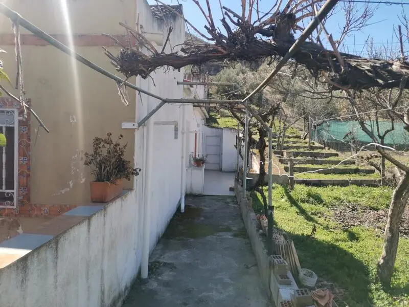 Chalet 5 Dormitorios Noguerones Jaen Gran Jardin
