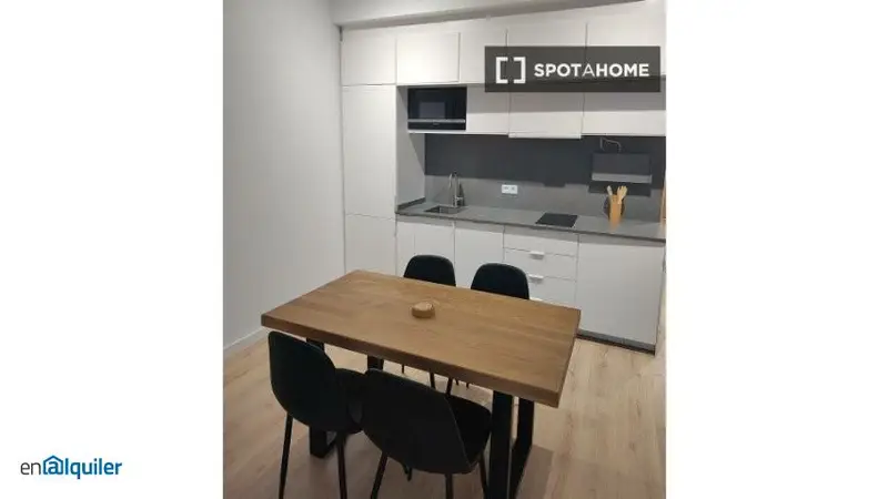 Apartamento en Santa Catalina Sevilla 1 dormitorio Profesionales