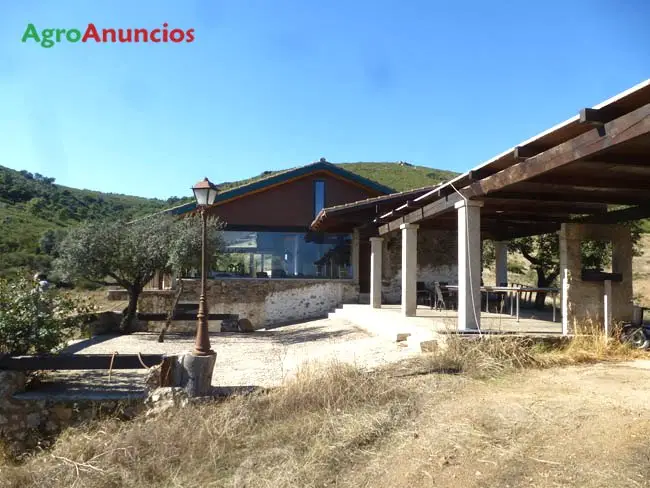 Venta  de Finca de caza mayor y recreo en Toledo