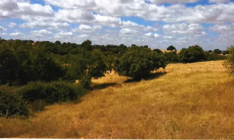 Venta Finca 1700 Has Ciudad Real