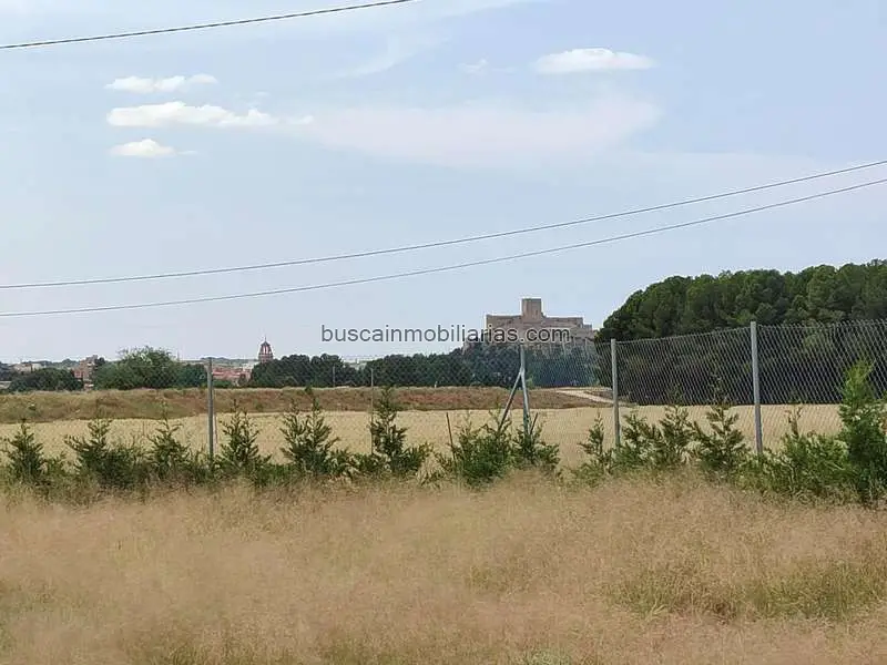 Parcela Rustica en Venta Almansa Cerca del Casco Urbano
