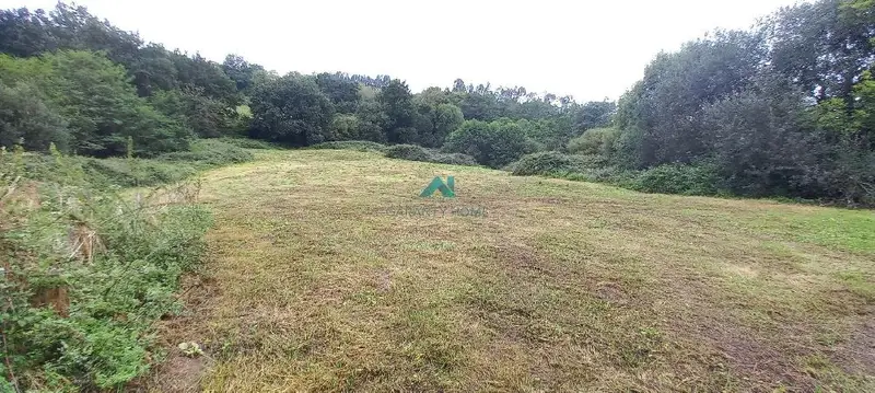 Venta Terreno 13000m2 Udalla Ampuero