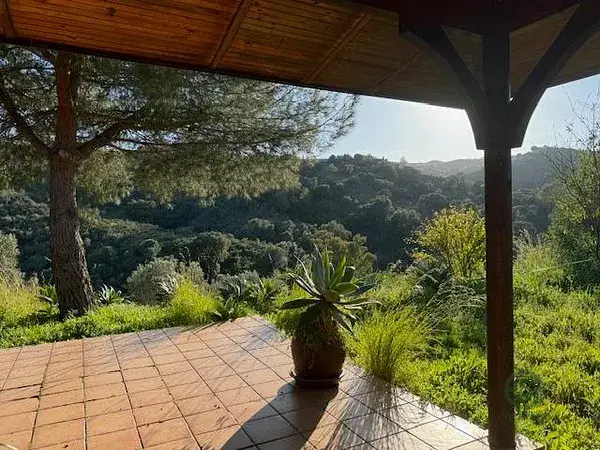 Finca con Caballos en Mijas Malaga