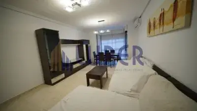 Alquiler Estudiantes San Vicente Del Raspeig 143m2
