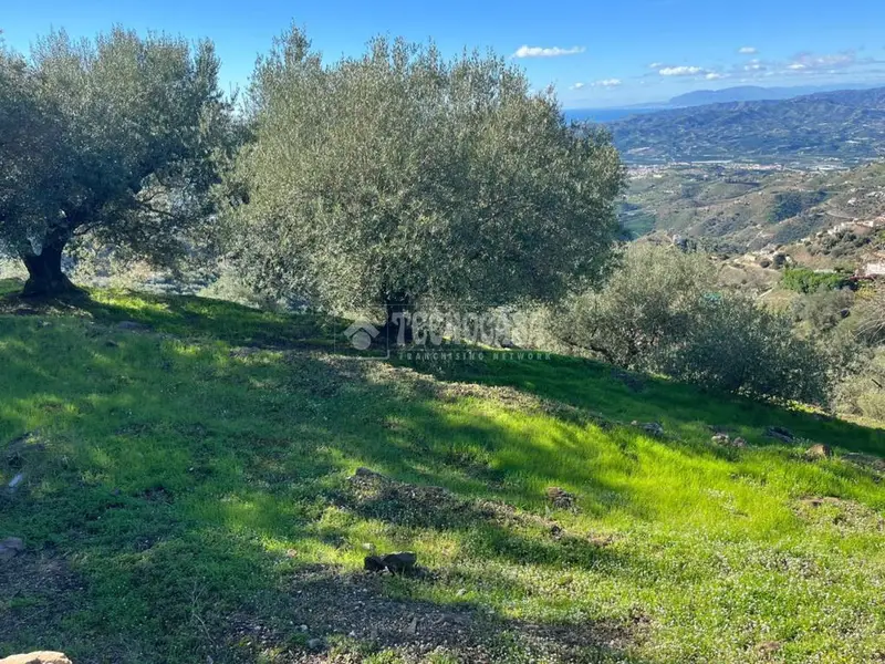 Terrenos en venta en Algarrobo